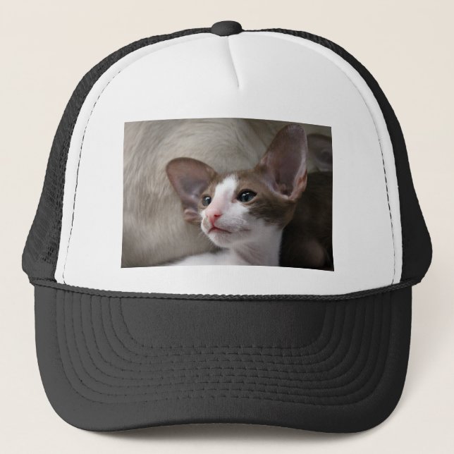 Siamese Kitten with big ears Trucker Hat (Front)