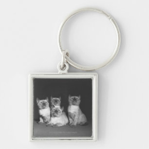 Siamese kittens looking up B&W Keychain
