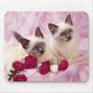 siamese kittens mouse pad