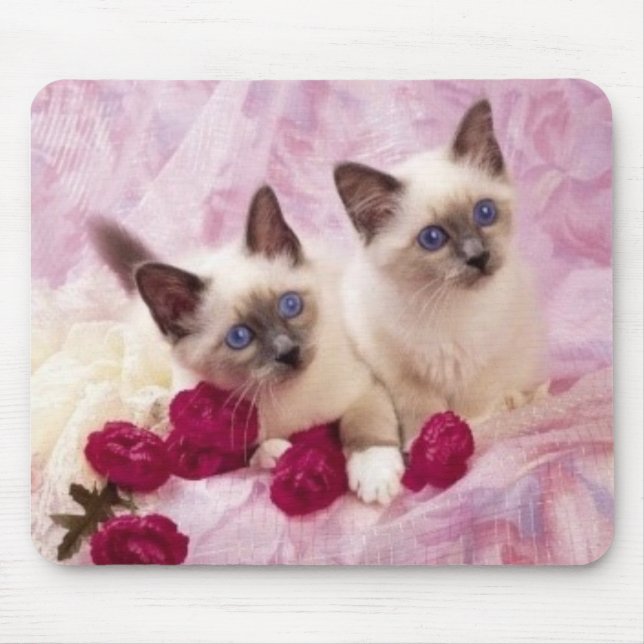 siamese kittens mouse pad (Front)