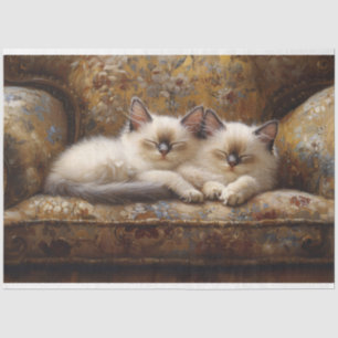 Siamese Kittens Napping Vintage Couch Decoupage Tissue Paper