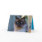 Siamese Kitty Cat Cute Customizable Card