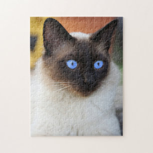 Siamese kitty cat with lovely big blue eyes jigsaw puzzle