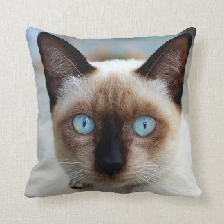 Siamese Kitty Face Throw Pillow