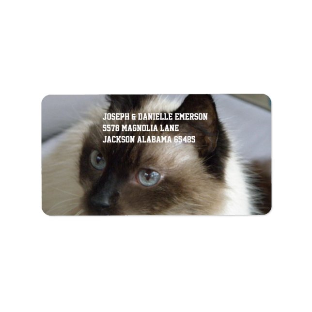 Siamese Kitty Label (Front)