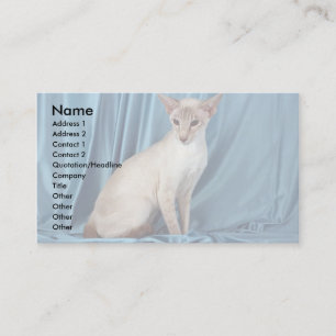 Siamese, lilac point business card