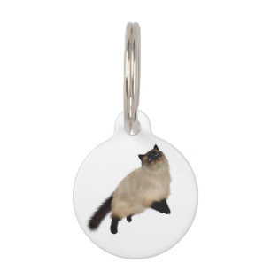 Siamese Long Hair Cat Pet Tag