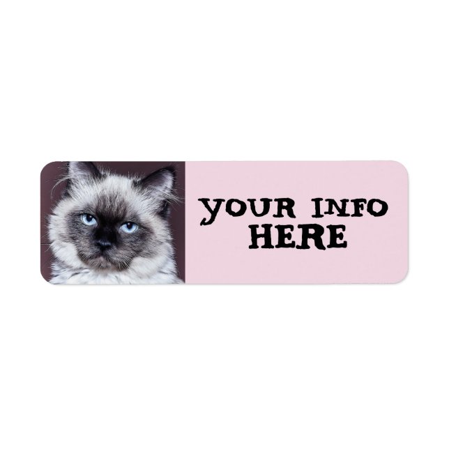 SIAMESE  PEEKING  RETURN ADDRESS LABELS (Front)