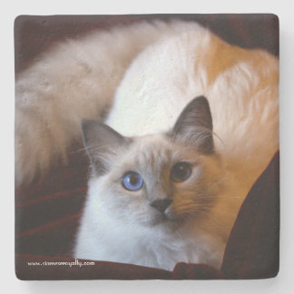 Siamese Royalty Limestone Coaster