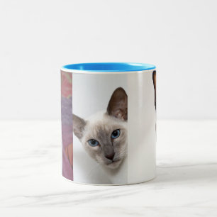 SIAMESE Two-Tone COFFEE MUG