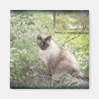 Siamese & Vines Magnet