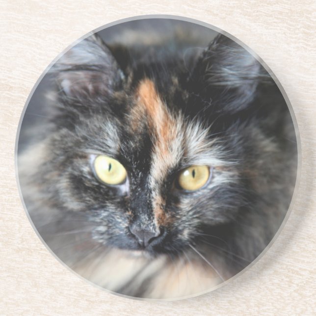 Siberian Cat Coaster (Front)
