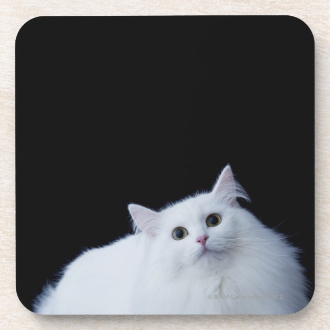 Siberian Cat Coaster (Front)