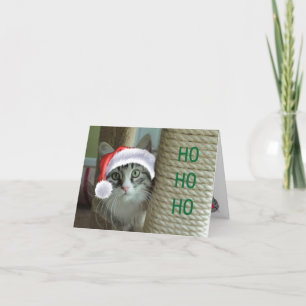Siberian Cat Holiday Greetings Card