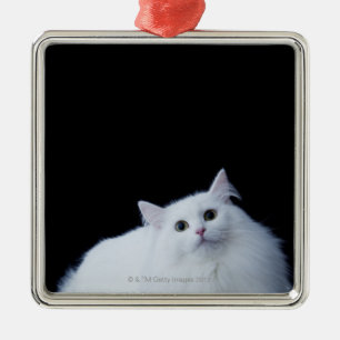 Siberian Cat Metal Ornament