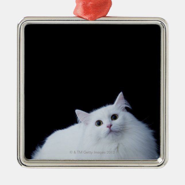 Siberian Cat Metal Ornament (Front)