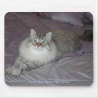 Siberian Cat Mousepad