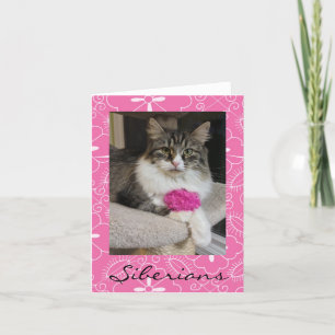 Siberian Cat Note Cards