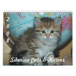 Siberian CATS & KITTENS CAL2008 Calendar