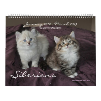 Siberian Cats Kittens Jan2012 - Mar2013 Calendar