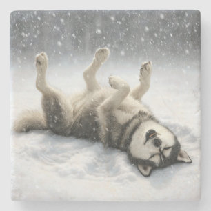 Siberian Huskey Creating a Snow Angel Stone Coaster