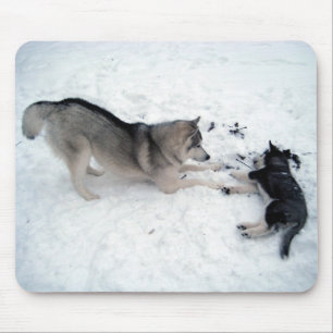 Siberian Huskies - Mousepad