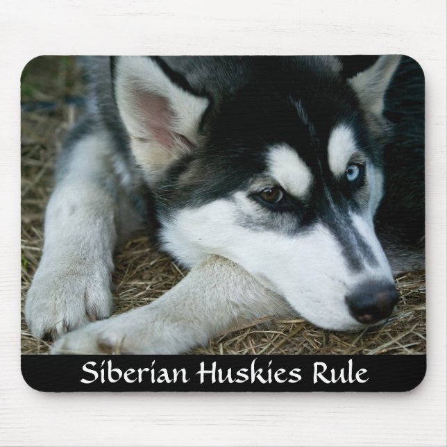 Siberian Huskies Rule Mousepad (Front)