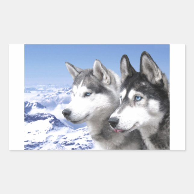 Siberian Huskies Sticker (Front)