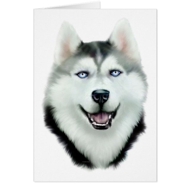 Siberian Husky (Front)