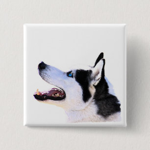 siberian husky 2 inch square button