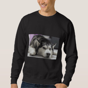 Siberian Husky 32 Sweatshirt