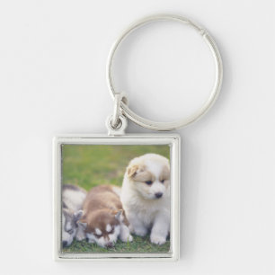 Siberian Husky; A working dog breed that Keychain