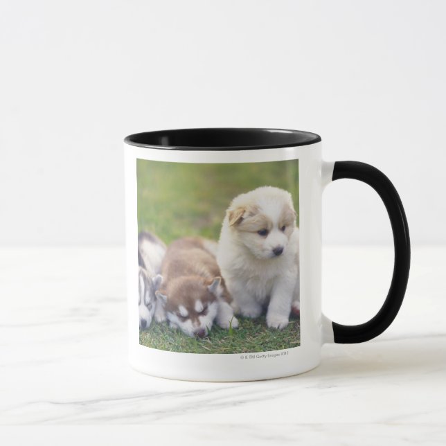 Siberian Husky; A working dog breed that Mug (Right)