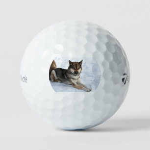 Siberian_Husky_agouti full Golf Balls