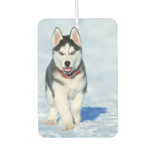 Siberian Husky Air Freshener