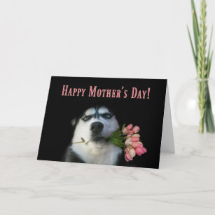 Siberian Husky and Tulips Happy Mother's Day Card