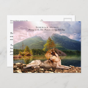 Siberian Husky at Lakeshore in Fall - Collectable Postcard