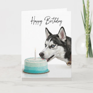 Siberian Husky Birthday Cake Inspector Card