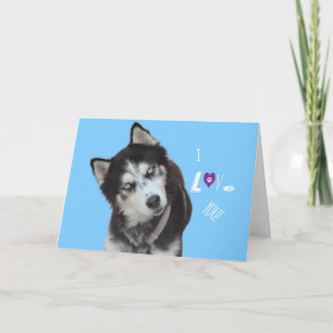 Siberian Husky Birthday Card
