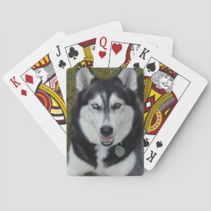 Siberian Husky Blue Brown Eyes Playing Cards
