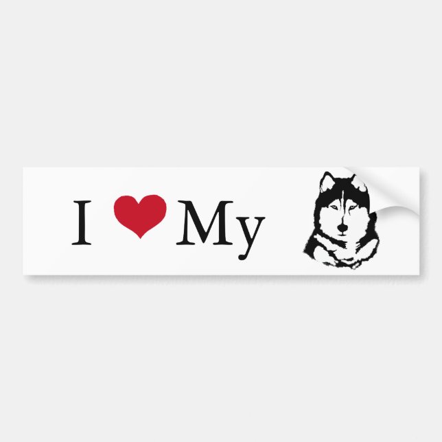 Siberian Husky Bumper Sticker (Front)