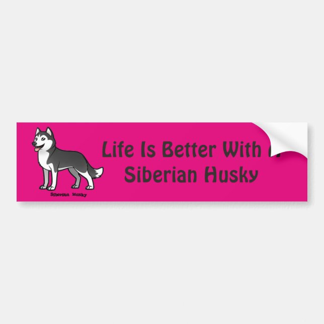 Siberian Husky Bumper Sticker (Front)