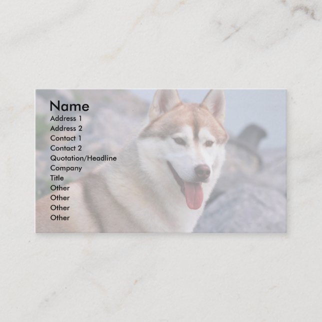 Siberian Husky Business Card (Front)