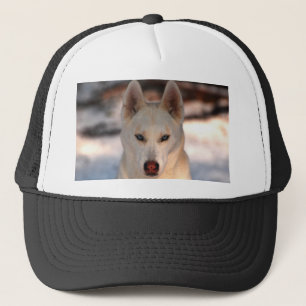 Siberian Husky Cap