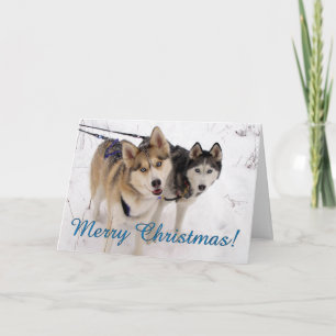 Siberian Husky Christmas Card
