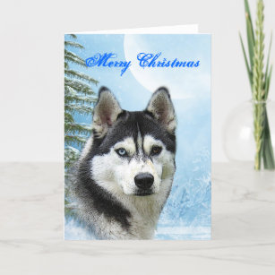 Siberian Husky Christmas Card