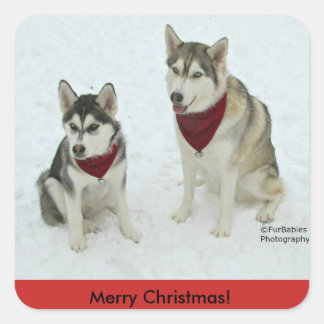 Siberian Husky Christmas stickers