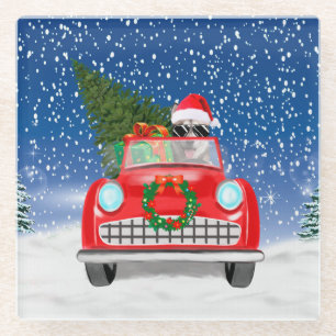 Siberian Husky Dog Driving Car In Snow Christmas   Glass Coaster