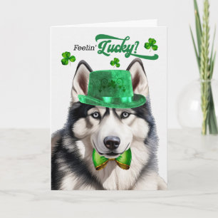 Siberian Husky Dog Feelin' Lucky St Patrick's Day Holiday Card