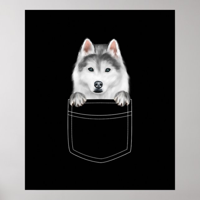Siberian Husky Dog In Pocket |Funny Dog Lover Gift Poster (Front)